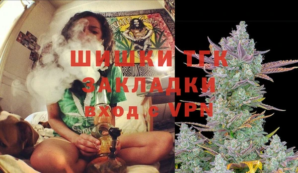 PSILOCYBIN Алзамай