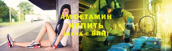 PSILOCYBIN Алзамай