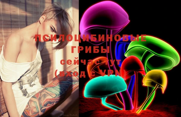PSILOCYBIN Алзамай