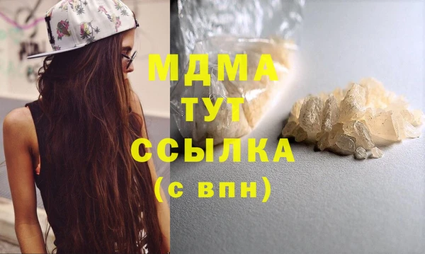 PSILOCYBIN Алзамай