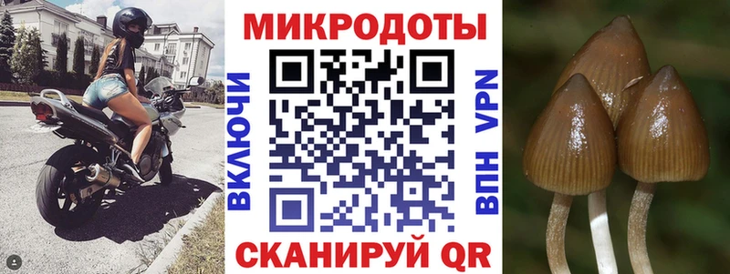 Псилоцибиновые грибы Magic Shrooms  купить наркоту  KRAKEN ONION  Ковылкино 